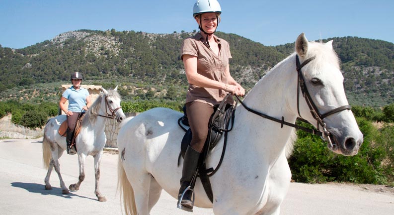 CABALLOS DE MONNÀBER NOU - horse - Hotel Rural Mallorca Monnaber Nou