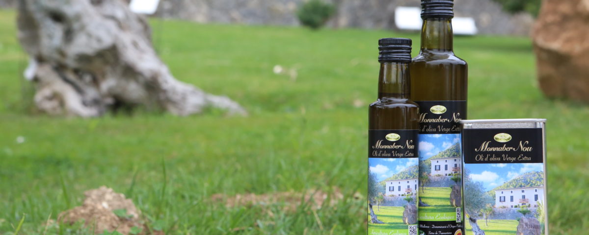 Olive oil from Monnaber Nou - 0S1A9697 - Hotel Rural Monnaber Nou Mallorca