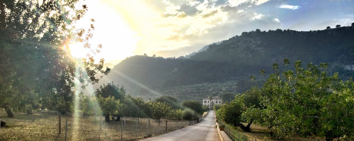 Experience the winter with a taste of nature in Mallorca! - atardecer monnaber - Hotel Rural Monnaber Nou Mallorca