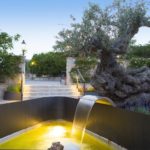 Galería de Fotos - patio garden house monnaber - Hotel Rural Mallorca Monnaber Nou
