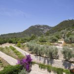 Galería de Fotos - vistas monn 12 - Hotel Rural Mallorca Monnaber Nou